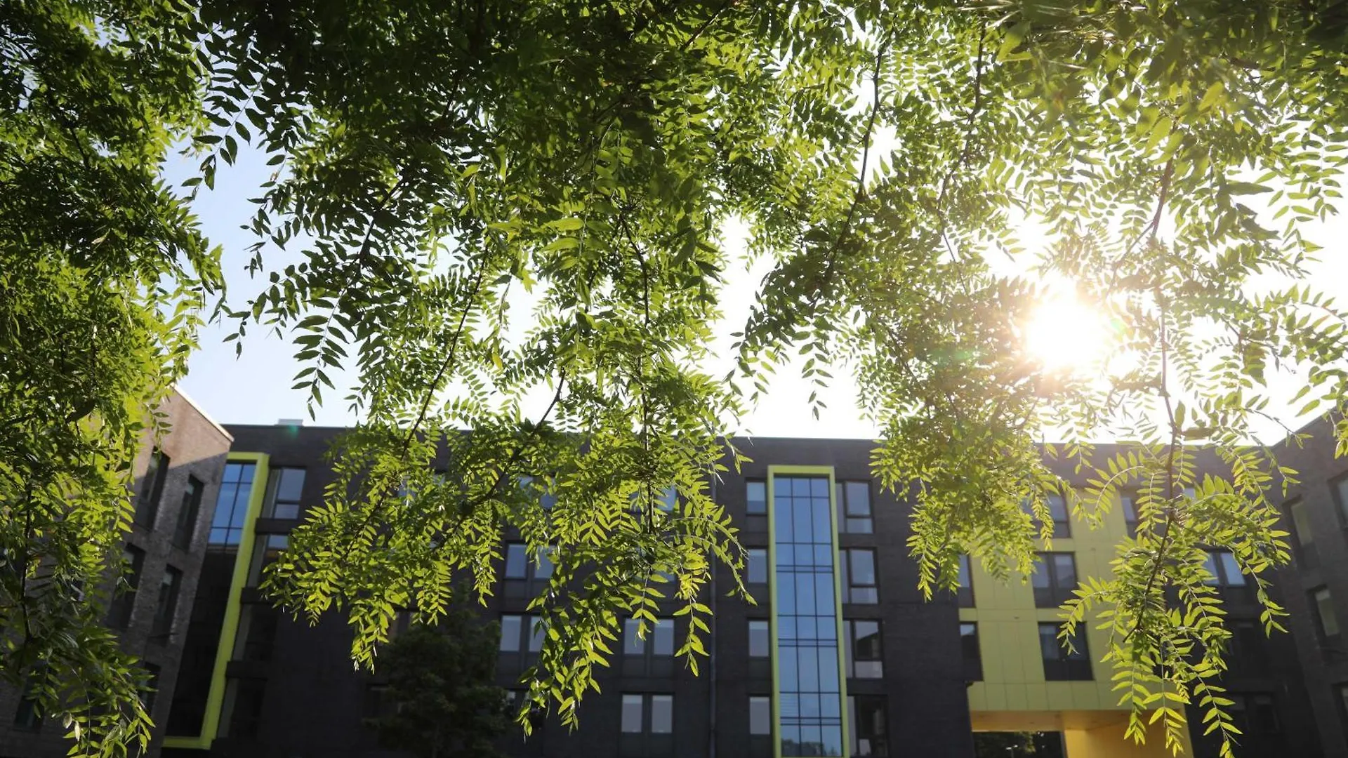 Goldcrest Village Apartments University Of Galway